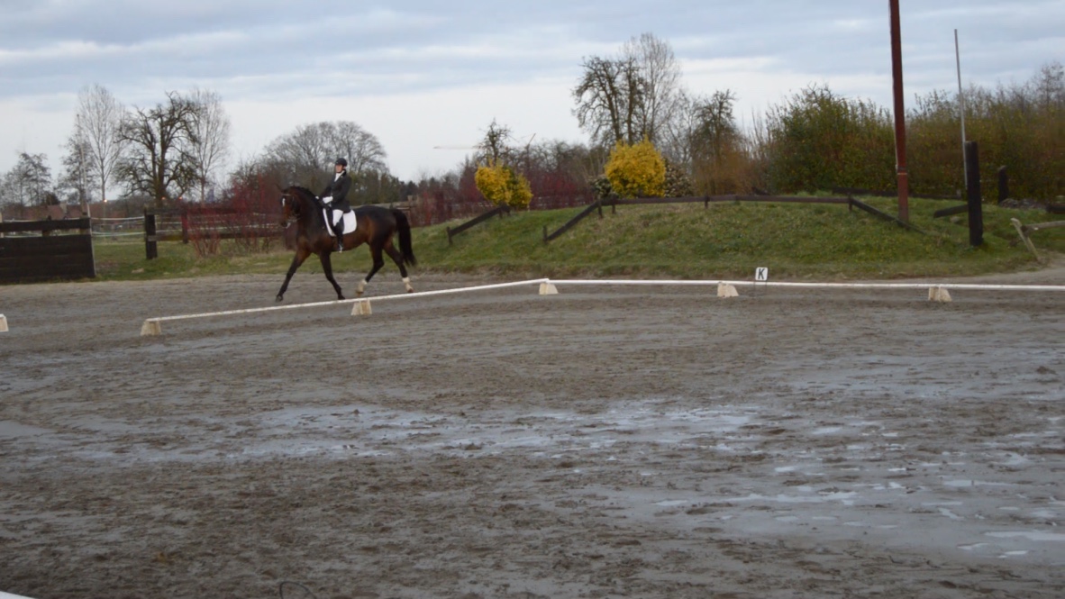 Equidress Aude