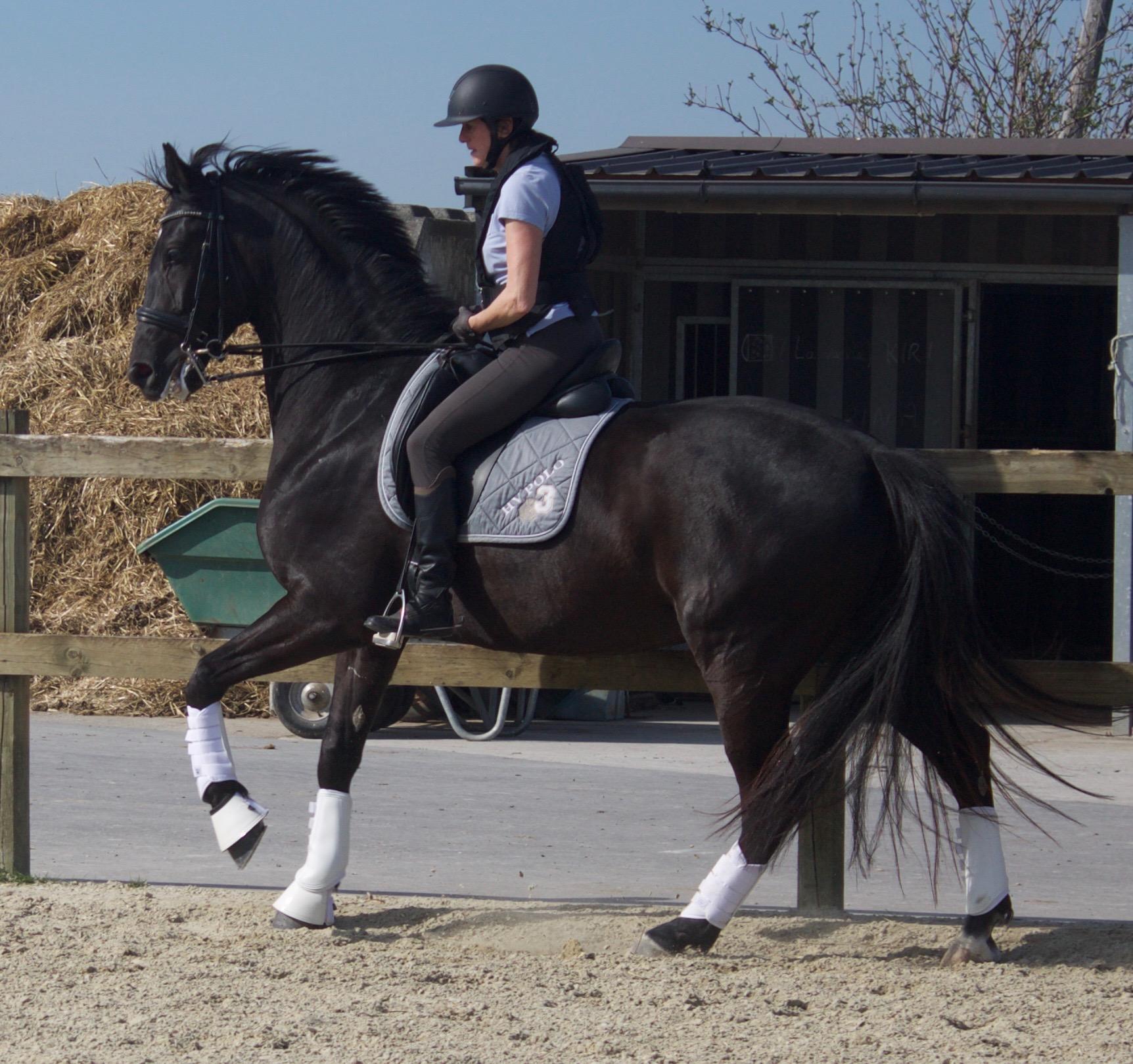 Equidress