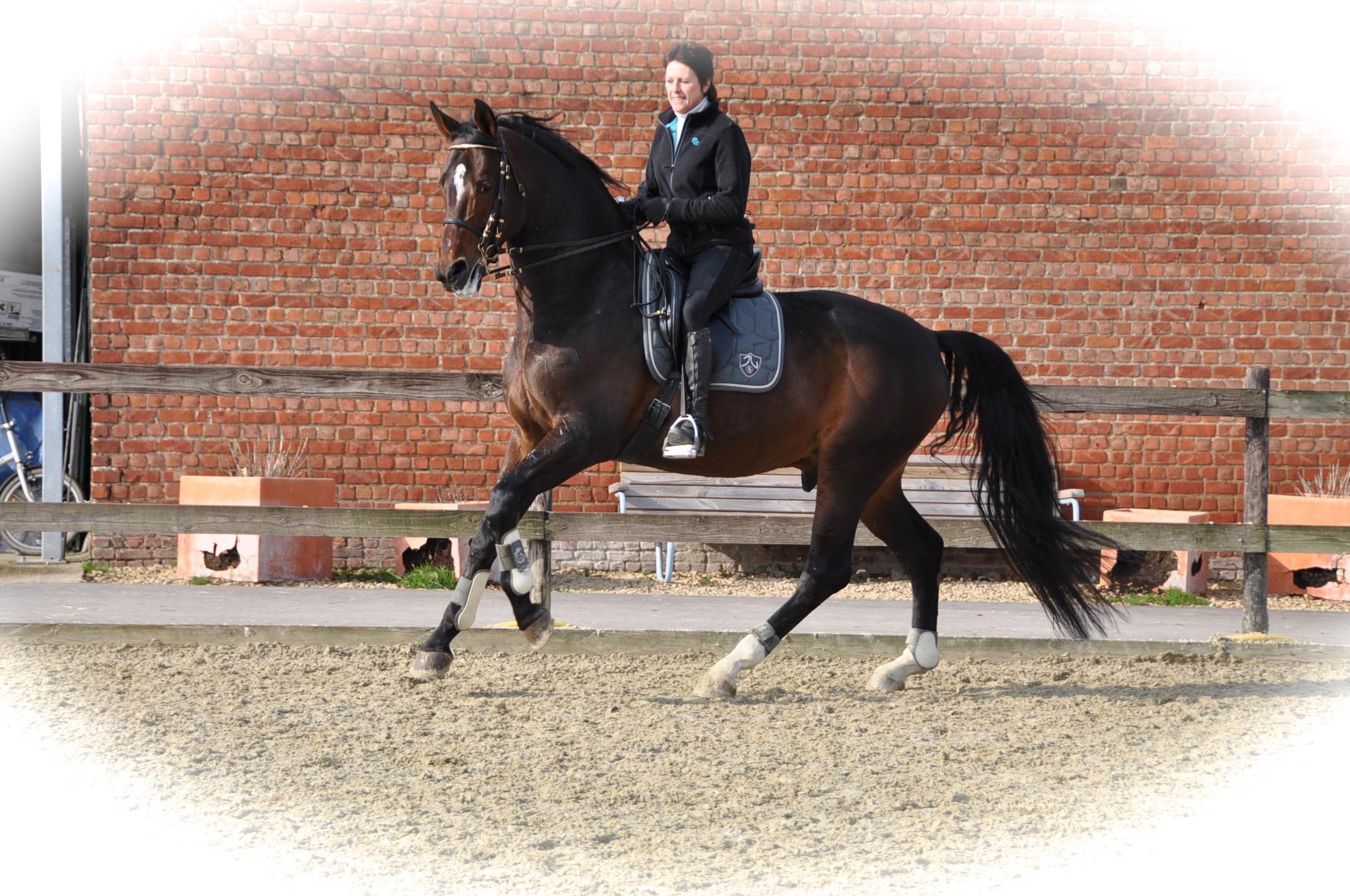 Equidress